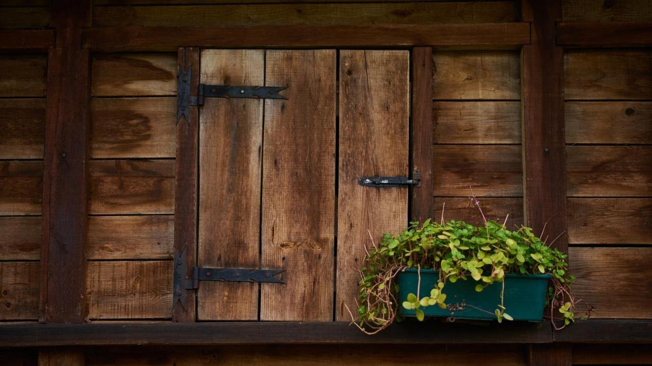 Epicos House, Your Home Away From Home. Nogueira  Exterior foto